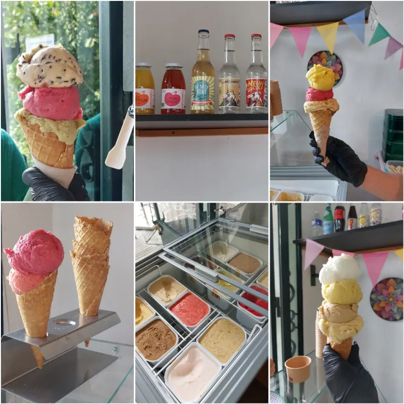 Glaces et sorbets artisanaux de la ferme – Sol Roc Champeaux